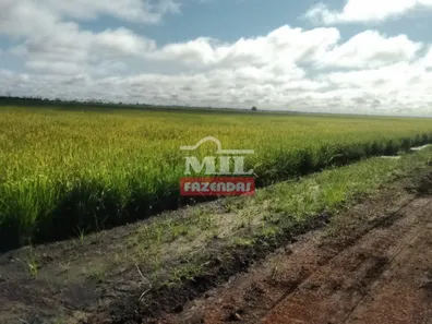 Fazenda / Sítio / Chácara com 3 Quartos à venda, 500m² no , Lagoa da Confusão