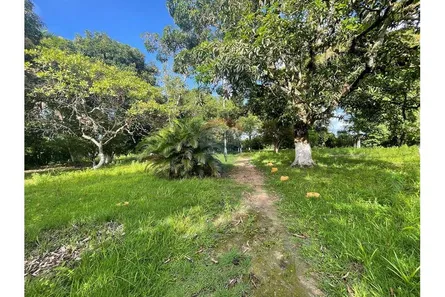Fazenda / Sítio / Chácara com 4 Quartos à venda, 8900m² no , Marechal Deodoro