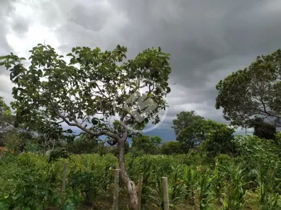 Terreno / Lote / Condomínio à venda, 3000m² no , Hidrolândia