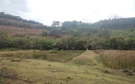 Terreno / Lote / Condomínio à venda, 20000m² no , Caeté