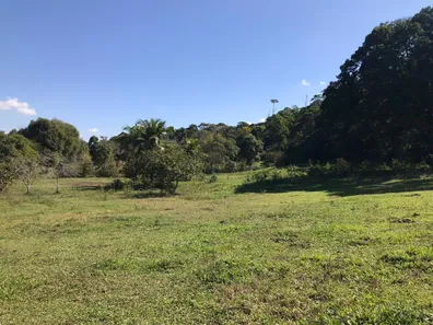 Fazenda / Sítio / Chácara com 3 Quartos à venda, 165000m² no Papucaia, Cachoeiras de Macacu