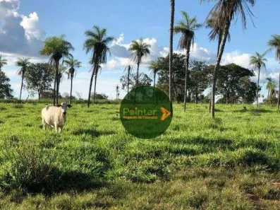 Fazenda / Sítio / Chácara à venda, 5320000m² no Área Rural de Gurupi, Gurupi