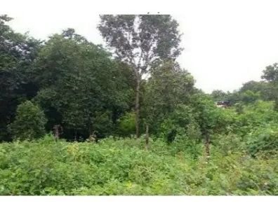 Terreno / Lote / Condomínio à venda, 2352m² no , Paraíso do Tocantins