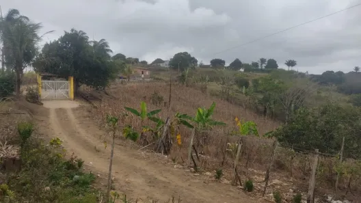 Fazenda / Sítio / Chácara com 4 Quartos à venda, 20000m² no Distrito Industrial (Prefeito José Augusto Ferrer de Morais), Vitória de Santo Antão