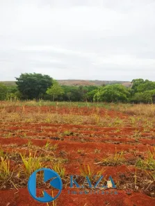 Fazenda / Sítio / Chácara com 2 Quartos à venda, 60000m² no Residencial Alvorada, Novo Gama