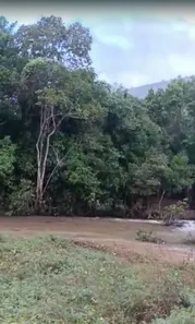 Fazenda / Sítio / Chácara à venda, 2000m² no , Joaquim Gomes