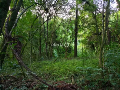 Fazenda / Sítio / Chácara à venda, 21381m² no Área Rural de Araucária, Araucária