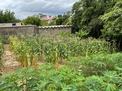 Terreno / Lote / Condomínio à venda, 1050m² no Bosque dos Pinheiros, Capivari