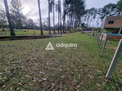 Fazenda / Sítio / Chácara com 2 Quartos à venda, 180m² no Piriquitos, Ponta Grossa