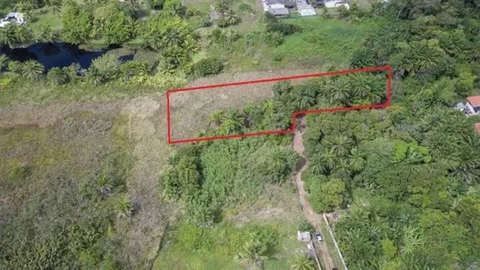 Terreno / Lote / Condomínio à venda, 4000m² no Catu de Abrantes (Abrantes), Camaçari