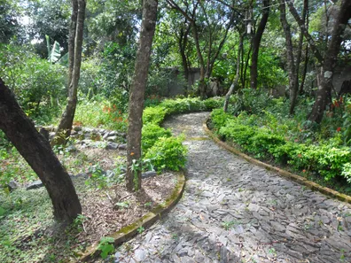Fazenda / Sítio / Chácara com 3 Quartos à venda, 1540m² no , Capim Branco
