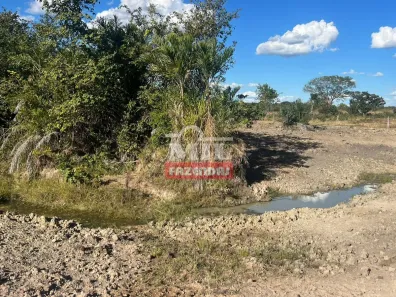 Fazenda / Sítio / Chácara à venda, 500m² no , Paranã