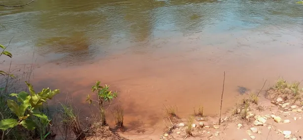 Fazenda / Sítio / Chácara à venda, 245m² no , Ponte Alta do Tocantins