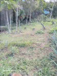 Terreno / Lote / Condomínio à venda, 400m² no , Águas Mornas