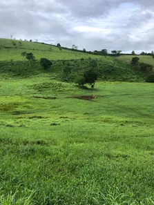 Fazenda / Sítio / Chácara à venda, 1050000m² no , São José da Laje