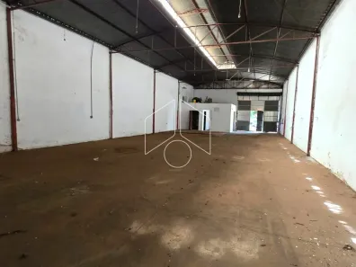 Galpão / Depósito / Armazém à venda, 350m² no Alto Cafezal, Marília