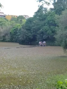 Terreno / Lote / Condomínio à venda, 343m² no Moinho de Vento, Barra Mansa
