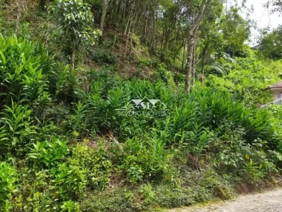 Terreno / Lote / Condomínio à venda, 503m² no Quitandinha, Petrópolis