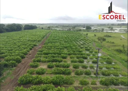 Fazenda / Sítio / Chácara com 2 Quartos à venda, 42000m² no , Alhandra
