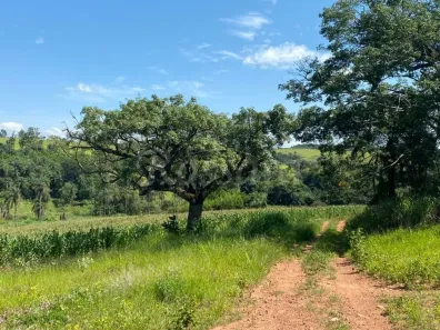 Fazenda / Sítio / Chácara à venda, 1m² no Gleba Destacada da Fazenda Santa Cruz, Jaguariúna