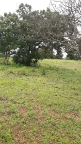 Fazenda / Sítio / Chácara com 4 Quartos à venda, 700m² no , Padre Bernardo