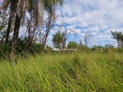 Fazenda / Sítio / Chácara com 1 Quarto à venda, 101156m² no Área Rural de Olímpia, Olímpia