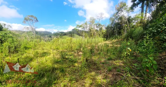 Fazenda / Sítio / Chácara à venda, 12400m² no Matulão, Tijucas do Sul