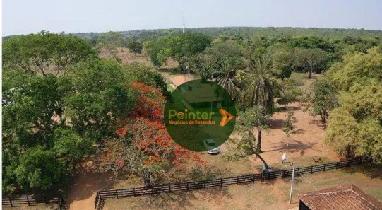 Fazenda / Sítio / Chácara à venda, 5320000m² no Área Rural de Gurupi, Gurupi