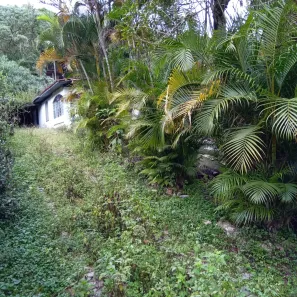 Fazenda / Sítio / Chácara com 3 Quartos à venda, 100m² no Itaquaciara, Itapecerica da Serra