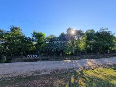 Fazenda / Sítio / Chácara à venda, 2326m² no Chacaras Olhos D Agua, Campina Grande do Sul