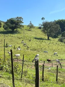 Fazenda / Sítio / Chácara com 3 Quartos à venda, 121000m² no Residencial Porta do Sol, Mairinque