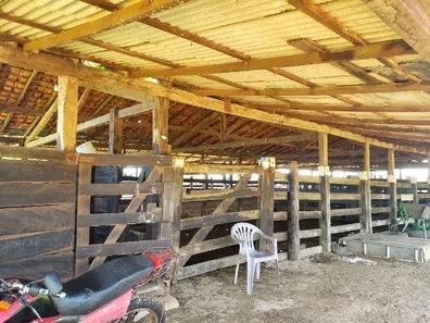 Fazenda / Sítio / Chácara com 4 Quartos à venda, 300000m² no , Itapecuru Mirim