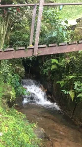 Fazenda / Sítio / Chácara com 5 Quartos à venda, 1956m² no Barreira, Guapimirim