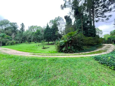 Fazenda / Sítio / Chácara à venda, 11141m² no Mato Dentro, Almirante Tamandaré