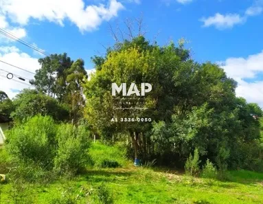 Terreno / Lote Comercial para alugar, 4380m² no Borda do Campo, Quatro Barras