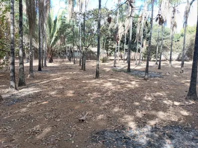 Fazenda / Sítio / Chácara com 2 Quartos à venda, 5000m² no Setor Central, Padre Bernardo