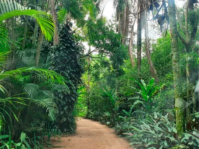 Fazenda / Sítio / Chácara com 6 Quartos à venda, 10000m² no , Jarinu
