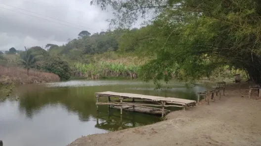 Fazenda / Sítio / Chácara com 3 Quartos à venda, 30000m² no Matriz, Vitória de Santo Antão