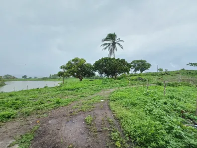 Fazenda / Sítio / Chácara com 11 Quartos à venda, 1000m² no , Pombos