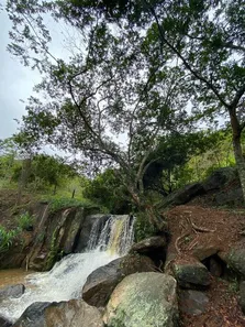 Fazenda / Sítio / Chácara com 3 Quartos à venda, 200m² no , Mendes