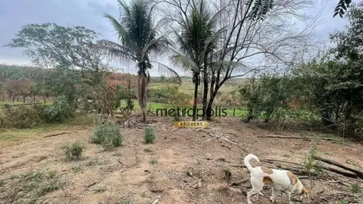 Fazenda / Sítio / Chácara com 6 Quartos à venda, 27000m² no Chácara São Benedito, Capivari