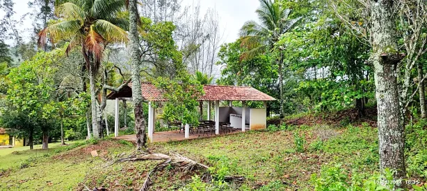 Fazenda / Sítio / Chácara com 3 Quartos à venda, 363000m² no , Rio Bonito