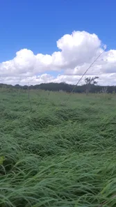 Fazenda / Sítio / Chácara à venda, 4500000m² no zona rural, Ielmo Marinho