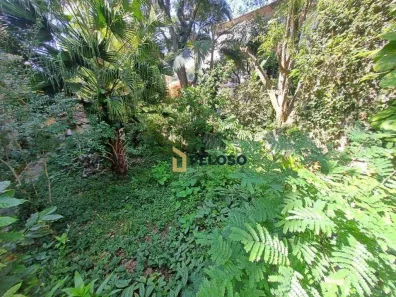 Terreno / Lote / Condomínio à venda, 500m² no Vila Albertina, São Paulo
