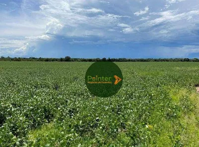 Fazenda / Sítio / Chácara à venda, 2740000m² no Área Rural de Gurupi, Gurupi