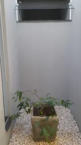 Casa com 4 Quartos à venda, 250m² no Pompéia, Pompéia