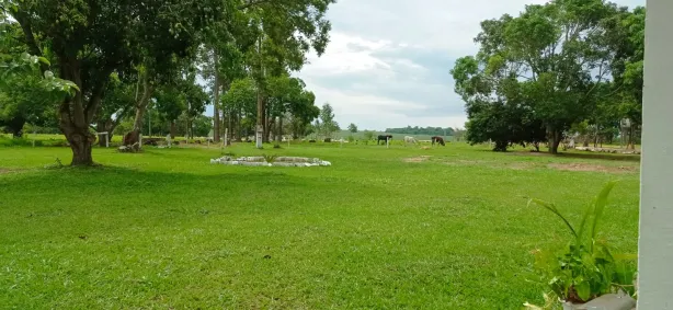 Fazenda / Sítio / Chácara à venda, 72260m² no Área Rural de Novo Gama, Novo Gama