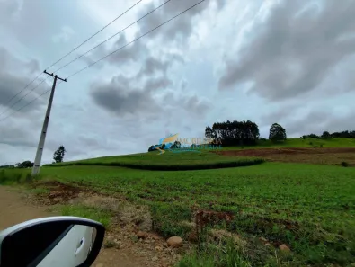 Fazenda / Sítio / Chácara à venda, 242000m² no , Guaraniaçu