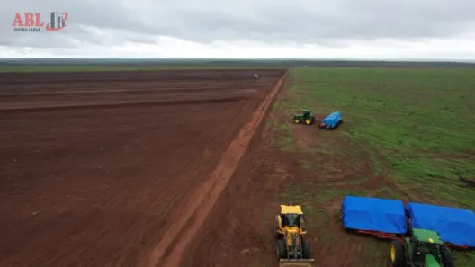 Fazenda / Sítio / Chácara à venda, 100190000m² no , Pedro Afonso