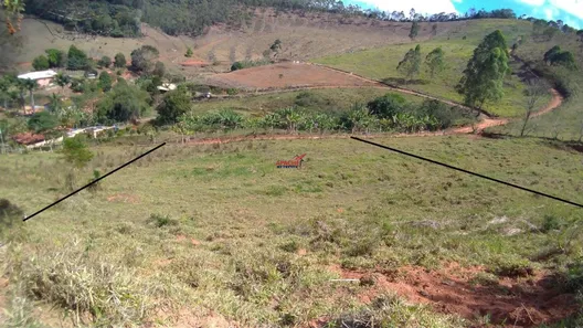 Fazenda / Sítio / Chácara com 1 Quarto à venda, 5635m² no Área Rural de Viçosa, Viçosa